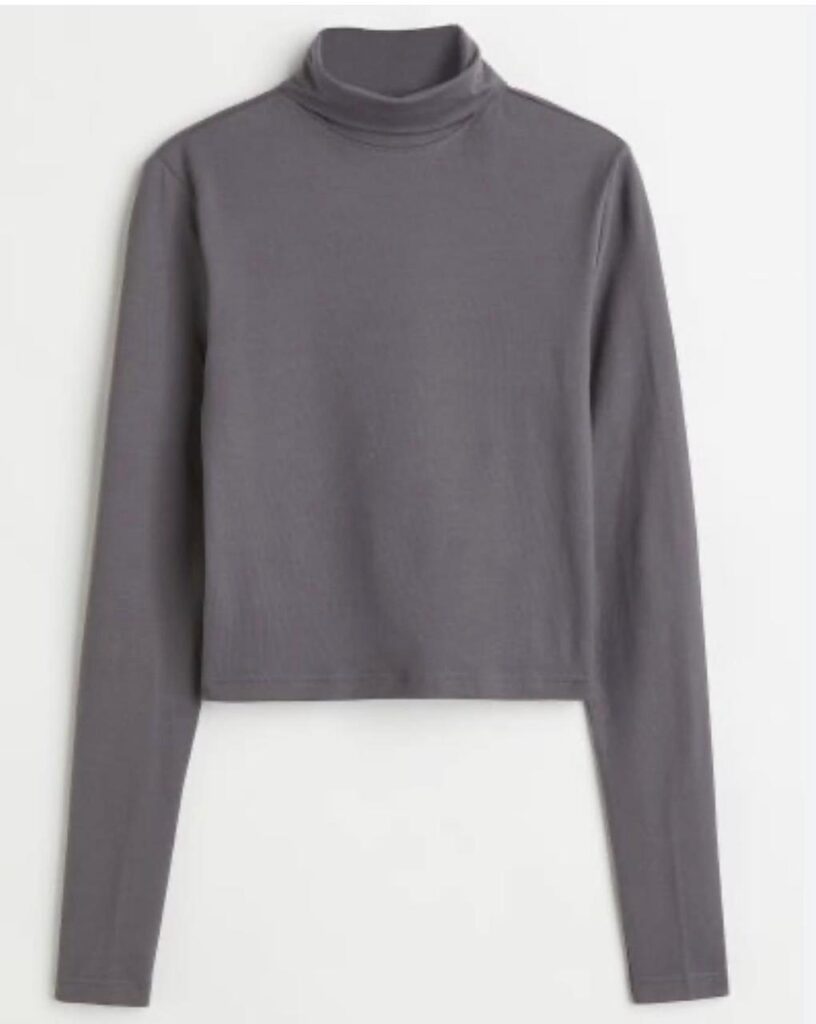 Fitted Crop Roll-Neck Top